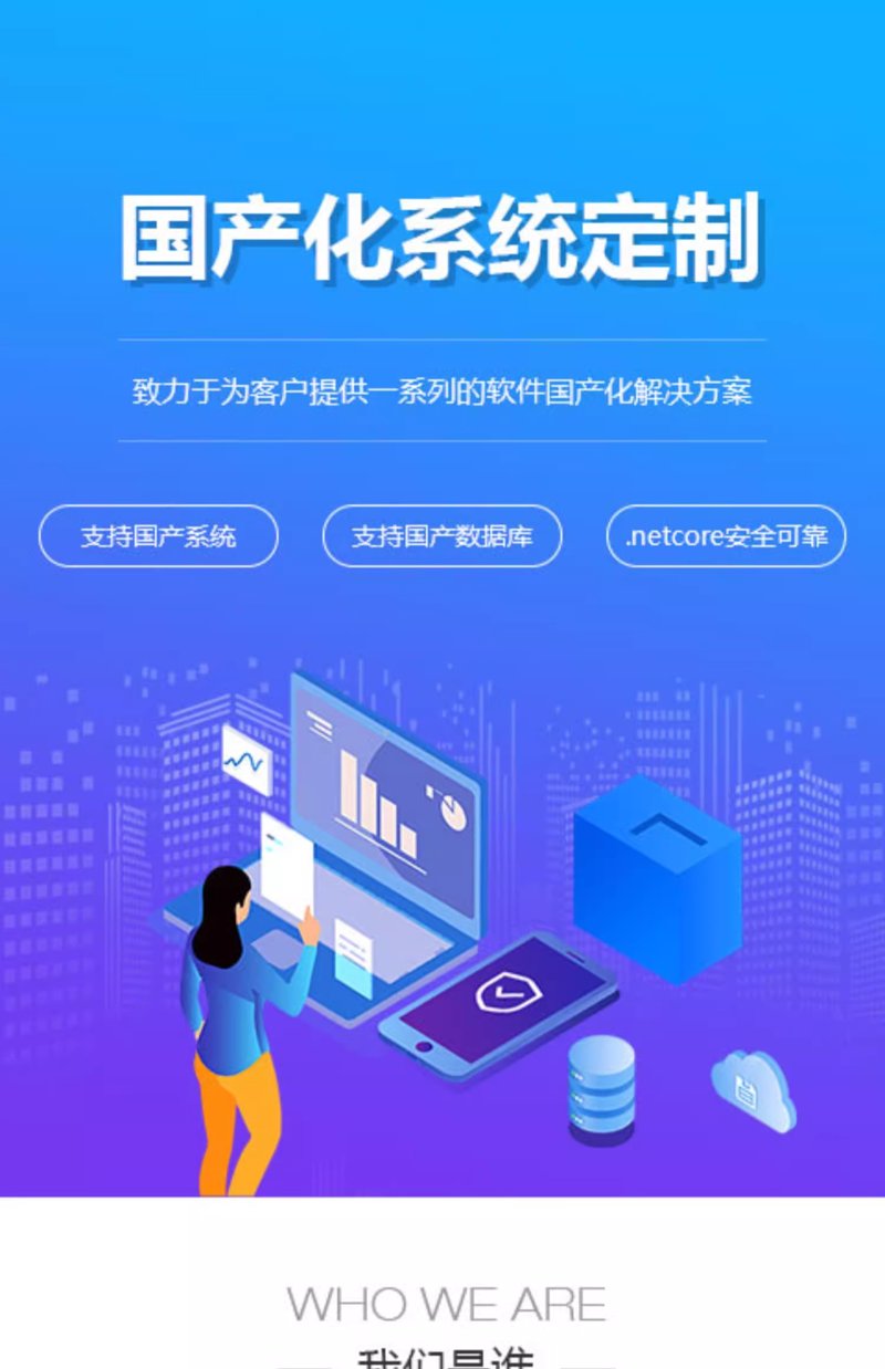安装解决方案
